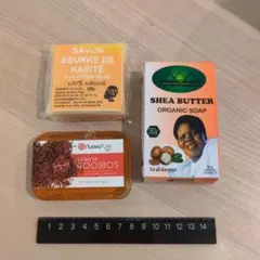 Item thumbnail for item b0534c6a-574d-4f7d-b371-2b1c2697caa1