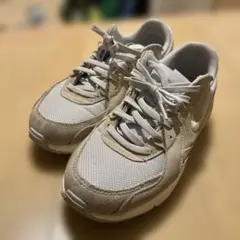 ナイキ ウィメンズ エア マックス エクシー HV6989-025