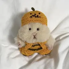 はむにぎり｜かぼちゃセットアップ｜pumpkin