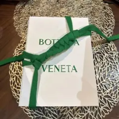 bottega veneta 15pro