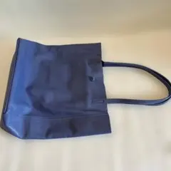 Item thumbnail for item a8e1d708-301c-443f-bc85-4126f61b7f2a