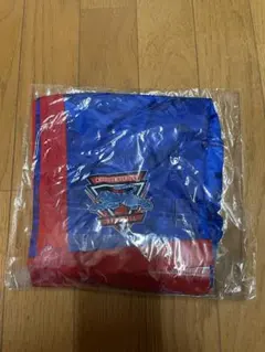 Item thumbnail for item b0bcb205-0e8a-436c-b565-c7fa882fb35d