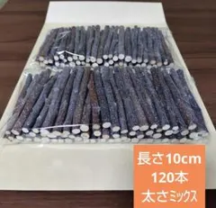 かじり木りんご枝10㎝120本②のサムネイル