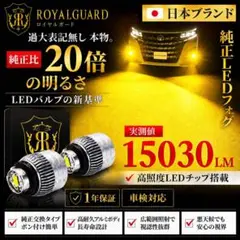 爆光 L1B LEDフォグ イエロー 純正LED交換 ポン付け ロイヤルガード