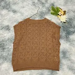 FLASH BLUE フラッシュブルー (M) ニットベスト クルーネック 茶色