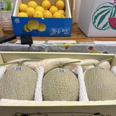 高知特産 食べごろ温室メロン 5玉 化粧箱入り箱込み9.5キロ九 - メルカリ