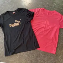 PUMA ヒョウ柄　黒Ｌadidasピンク　Ｍ　２枚セット　トレーニングＴシャツ