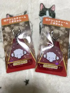 こぎみゅん　アクリルチャーム　サンリオ