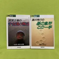 Item thumbnail for item 7d4d503d-8fca-43f0-8b4a-d9ef62c0d175