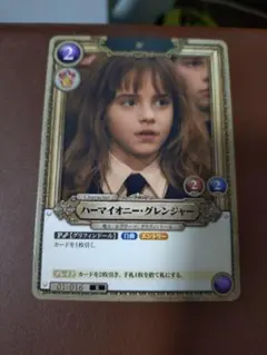 y*3様 ハリーポッター ハーマイオニー・グレンジャー 02-015a R☆ パ