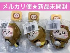 ちいかわ たぬきだもんくじ　C賞　ラッコ　古本屋　シーサー　3体セット