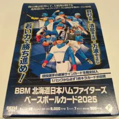 タカラ　ファイターズ 選手カードセット Takara Tomy - タカラ プロ野球カードゲーム 96年日本ハム