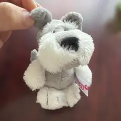 2026年最新】NICIシュナウザーの人気アイテム - メルカリ