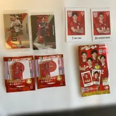 バレーボール日本代表　7点セット