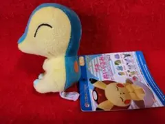 ヒノアラシ プチぬいぐるみ ポケモンセンター　ポケモン