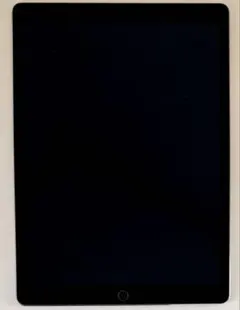 iPad Pro 12.9 第2世代 256GB Apple Pencil付