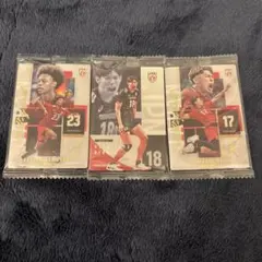 JAPAN NATIONAL VOLLEYBALL TEAM 3枚セット