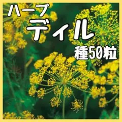 Kimonokyoko&fam様 リクエスト 2点 まとめ商品