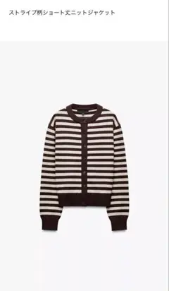 ZARA ボーダーカーディガン　ブラウン
