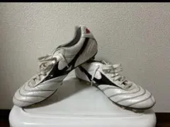 モレリア 2 JAPAN 取り替え式