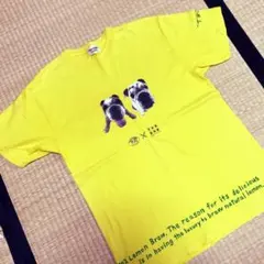 Item thumbnail for item 256ebba9-a866-499c-b7dd-bfe38dc87b75