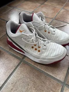 ジョーダンマックスオーラ5 28センチ