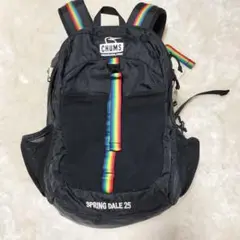 美品　チャムス　大容量　リュック DALE25　バックパック　レインボー CHUMS チャムス Spring Dale 25 25L Black Rainbow CH60-3548