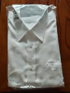 Item thumbnail for item 0ac6b6bc-c63a-44d2-a7df-6985ef215dad