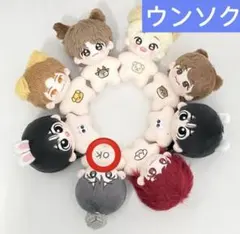 RIIZE ウンソク　10cm ぬいぐるみ　新品　マスター ②