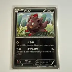 ポケモンカード ゾロア 116/BW-P プロモのサムネイル