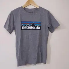 patagonia kidsパタゴニアキッズ Tシャツ サイズXL14