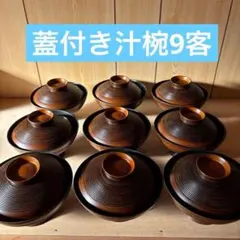 Item thumbnail for item 9bec8d3c-2790-4a95-bfa4-f6e6dd887d5b