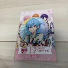 STPR Family ランダム缶バッジ すとぷり　ころん