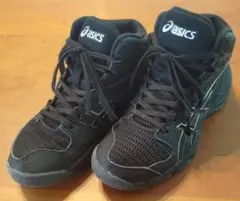 ダンクショット（DUNK SHOT）20cm