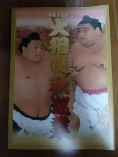 平成13年大相撲秋巡業パンフレット