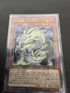 ★極美品★天盃龍パイドラ・25thシークレット