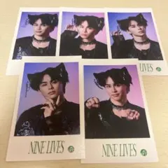 NINELIVES ミニフォト タクヤコンプセット