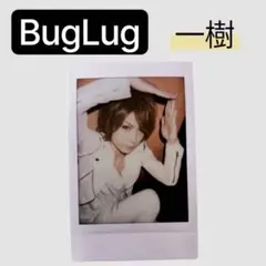 BugLug 燕 チェキ ばぐらぐ レジレコ ヴィジュアル系 V系 - メルカリ