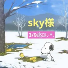 sky様 専用ページ
