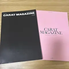 SEVENTEEN CARATMAGAZINE Vol.13 Vol.14