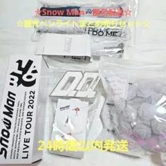 ☆匿名配送☆Snow Man　ペンライト　まとめ売り　歴代セット