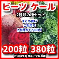 HIROMI様 リクエスト 2点 まとめ商品