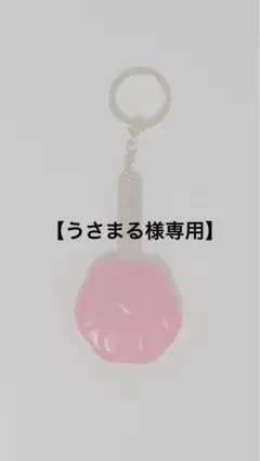 【うさまる様専用】 ズートピア　アイスキャンディー　キーホルダー