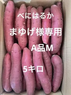 まゆげ様専用　A品M 5キロ
