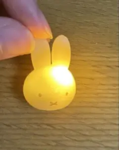 ミッフィー　ミニライト　光るディックブルーナ