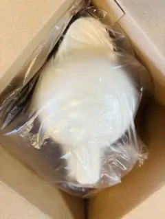 Item thumbnail for item 479714f4-459d-4c51-ab19-4b49945590a6