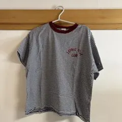 ストライプ 半袖Tシャツ バーガンディ襟