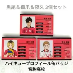 ハイキュープロフィール缶バッジ 音駒高校 黒尾＆孤爪＆夜久 3個セット