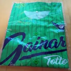 2025年最新】ガイナーレ鳥取ユニホームの人気アイテム - メルカリ