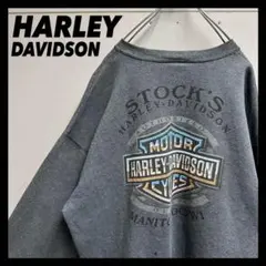 HARLEY DAVIDSON ハーレーダビッドソン 両面ロゴ　スウェット HARLEY DAVIDSON ハーレーダビッドソン 両面ロゴ スウェット - メルカリ